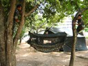 Demonstração do Exército